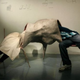 Illustration for article titled Nacho Carbonell's Mutant Furniture